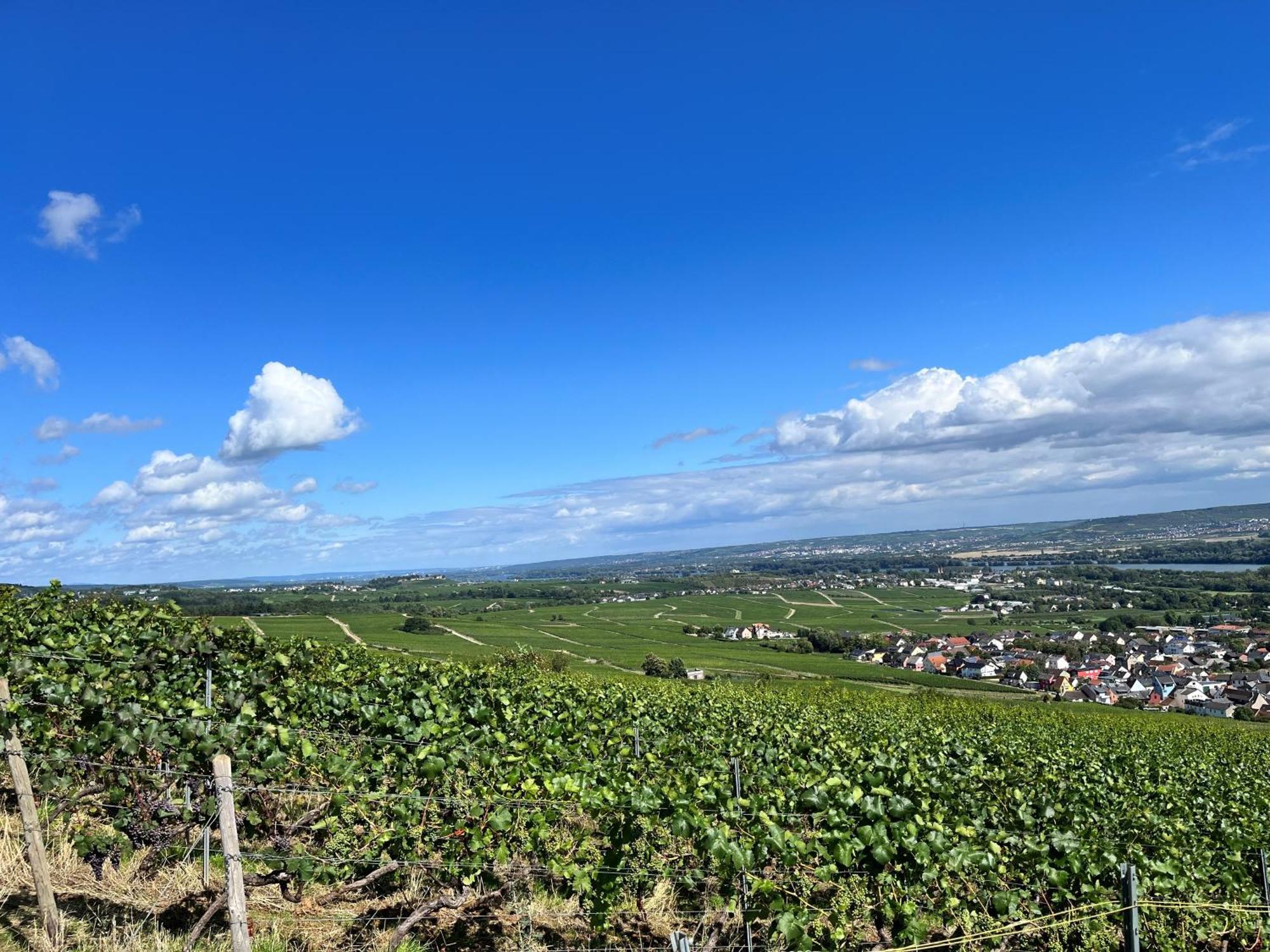 Haus Neugebauer-Garni, Johannisberg Bagian luar foto